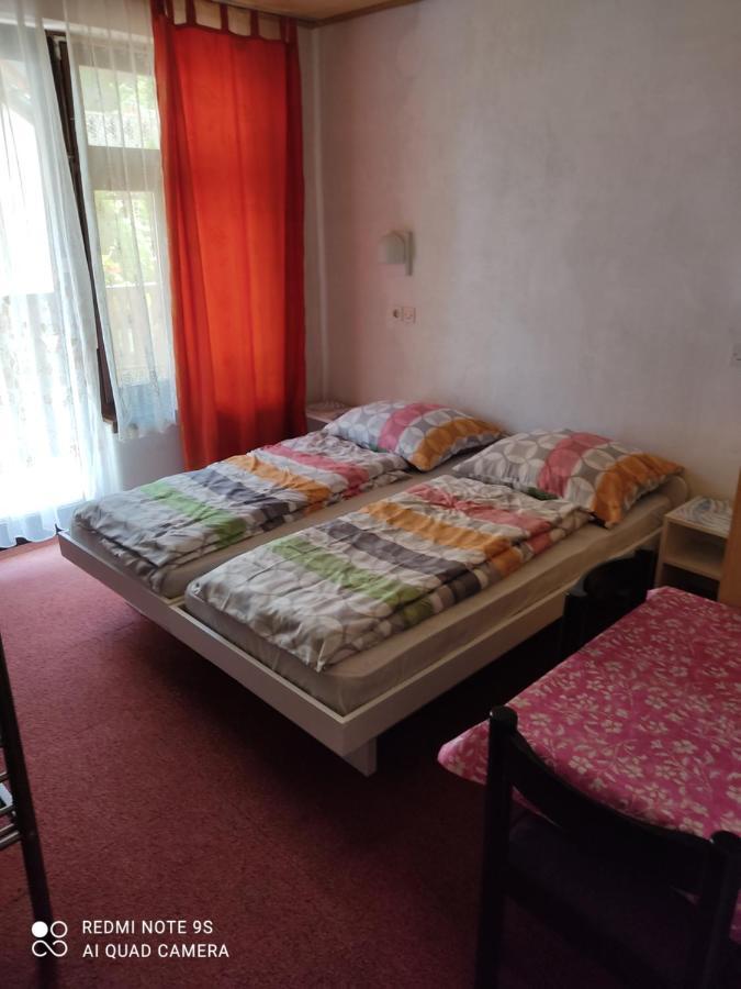Apartmán Sobe Grajska Bled Exteriér fotografie